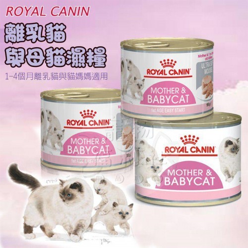 RC幼貓營養罐頭